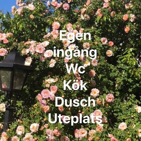 威尔第别墅酒店 博里霍尔姆 外观 照片