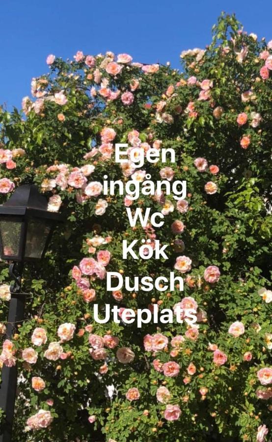 威尔第别墅酒店 博里霍尔姆 外观 照片